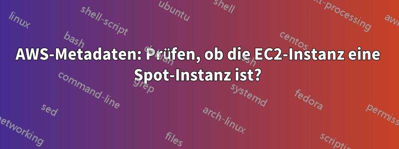 AWS-Metadaten: Prüfen, ob die EC2-Instanz eine Spot-Instanz ist?