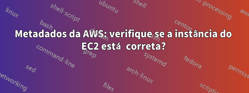 Metadados da AWS: verifique se a instância do EC2 está correta?