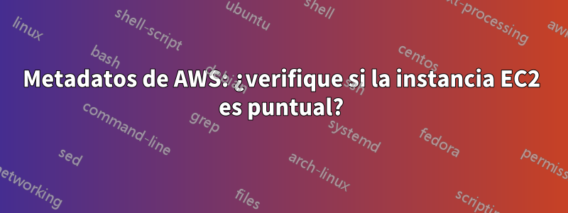 Metadatos de AWS: ¿verifique si la instancia EC2 es puntual?