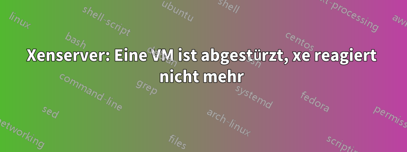 Xenserver: Eine VM ist abgestürzt, xe reagiert nicht mehr