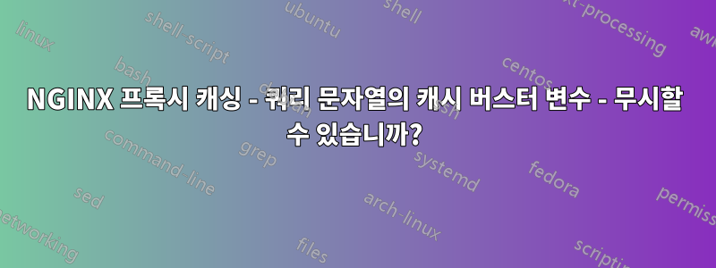 NGINX 프록시 캐싱 - 쿼리 문자열의 캐시 버스터 변수 - 무시할 수 있습니까?