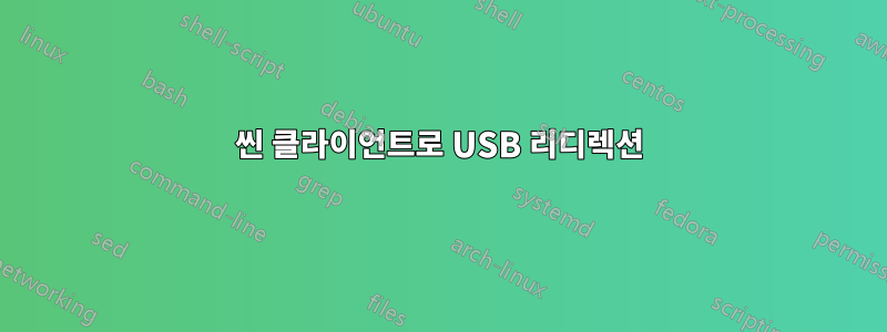 씬 클라이언트로 USB 리디렉션