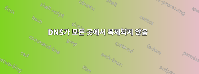 DNS가 모든 곳에서 복제되지 않음 