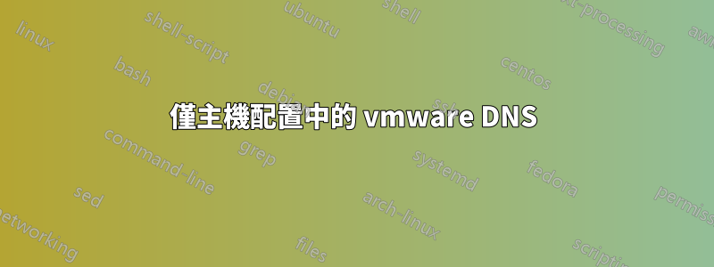 僅主機配置中的 vmware DNS