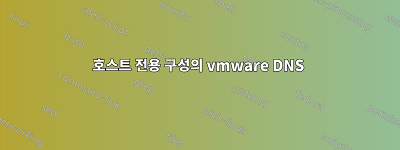 호스트 전용 구성의 vmware DNS