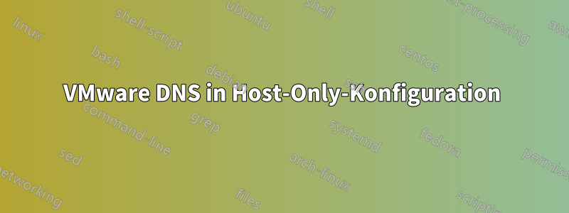 VMware DNS in Host-Only-Konfiguration