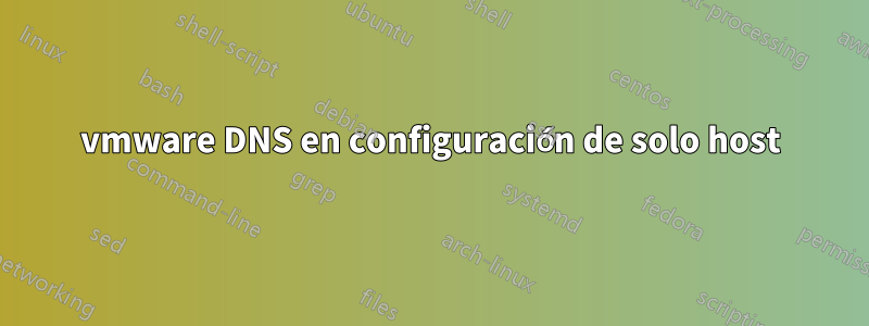 vmware DNS en configuración de solo host