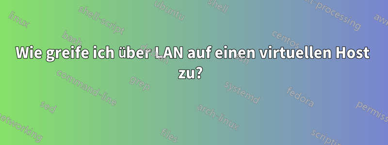 Wie greife ich über LAN auf einen virtuellen Host zu? 