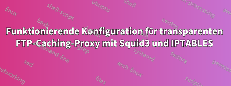 Funktionierende Konfiguration für transparenten FTP-Caching-Proxy mit Squid3 und IPTABLES