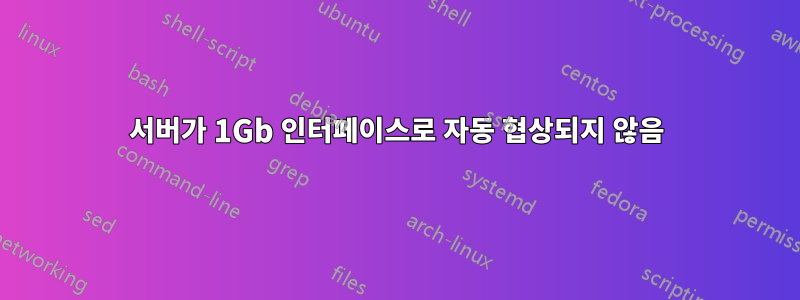 서버가 1Gb 인터페이스로 자동 협상되지 않음