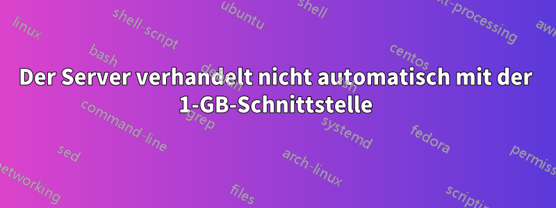 Der Server verhandelt nicht automatisch mit der 1-GB-Schnittstelle