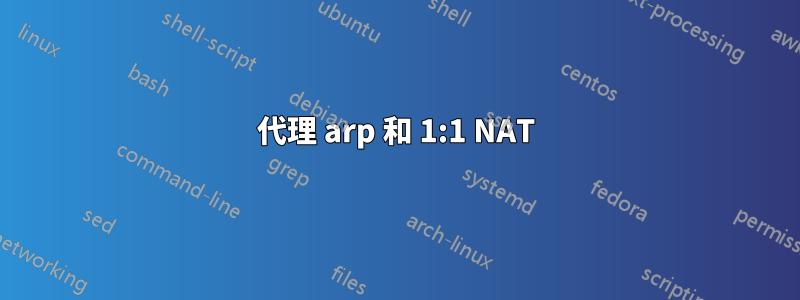 代理 arp 和 1:1 NAT