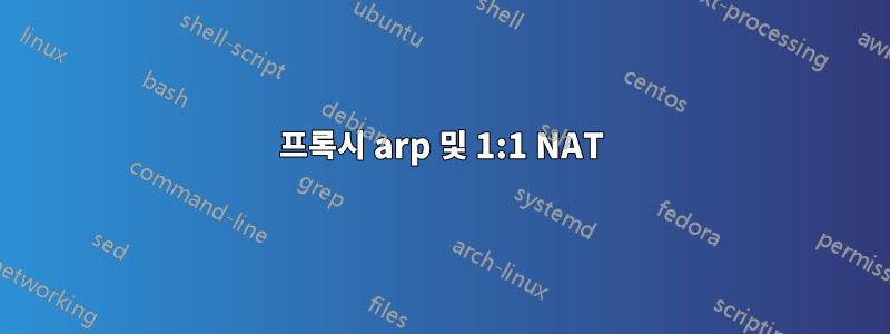 프록시 arp 및 1:1 NAT