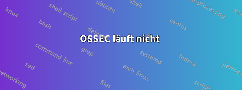 OSSEC läuft nicht