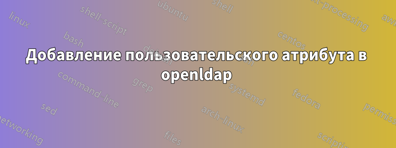 Добавление пользовательского атрибута в openldap