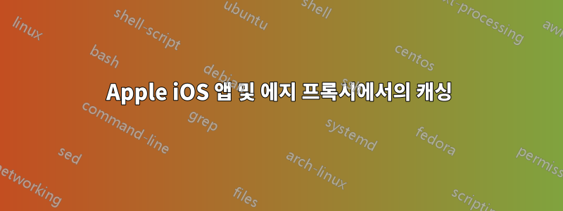 Apple iOS 앱 및 에지 프록시에서의 캐싱