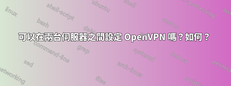 可以在兩台伺服器之間設定 OpenVPN 嗎？如何？