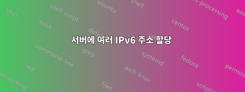 서버에 여러 IPv6 주소 할당