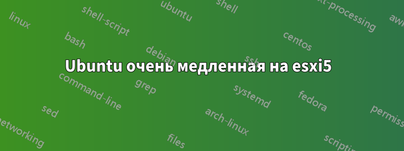 Ubuntu очень медленная на esxi5 