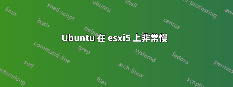 Ubuntu 在 esxi5 上非常慢 