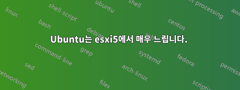 Ubuntu는 esxi5에서 매우 느립니다.