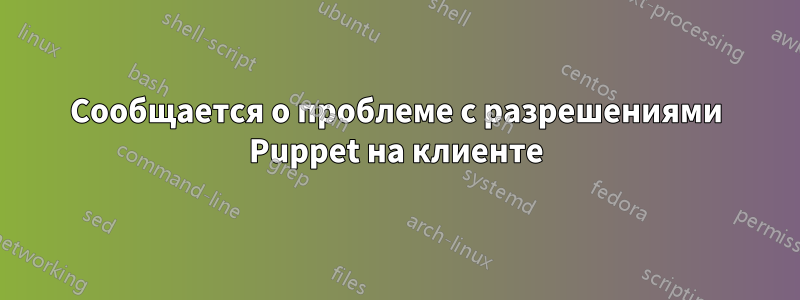 Сообщается о проблеме с разрешениями Puppet на клиенте