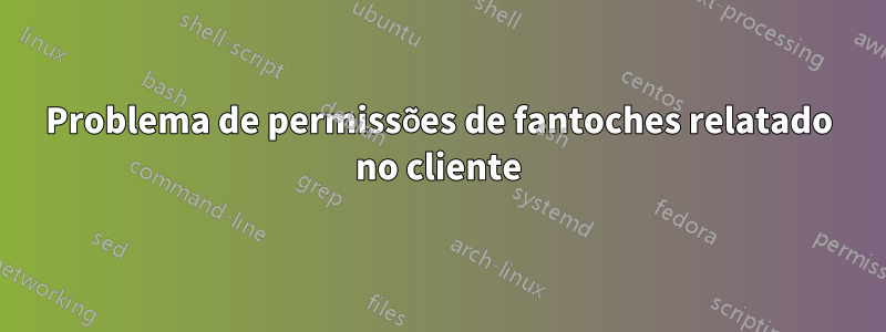 Problema de permissões de fantoches relatado no cliente