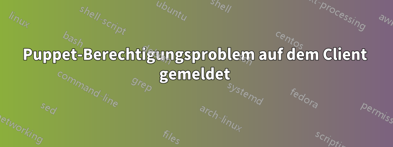Puppet-Berechtigungsproblem auf dem Client gemeldet