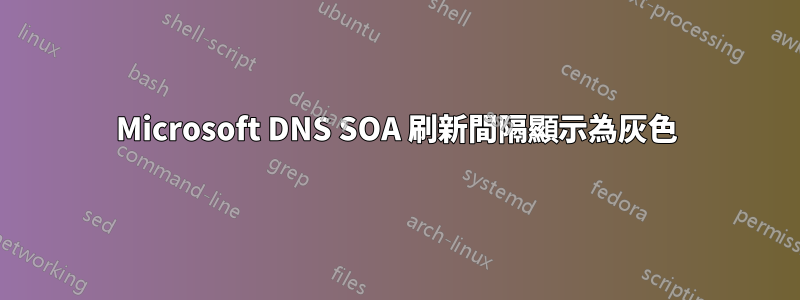 Microsoft DNS SOA 刷新間隔顯示為灰色