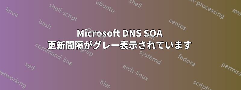 Microsoft DNS SOA 更新間隔がグレー表示されています