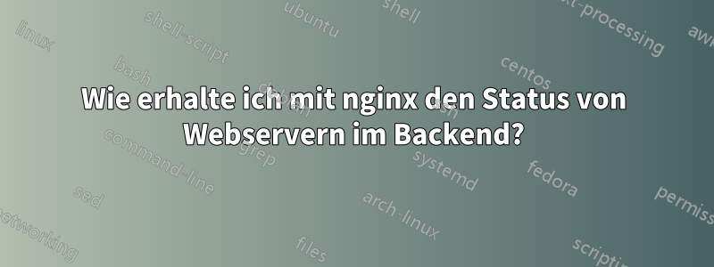 Wie erhalte ich mit nginx den Status von Webservern im Backend?