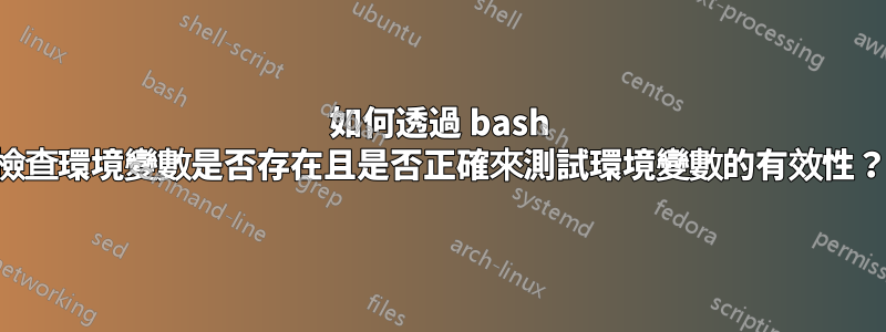 如何透過 bash 檢查環境變數是否存在且是否正確來測試環境變數的有效性？