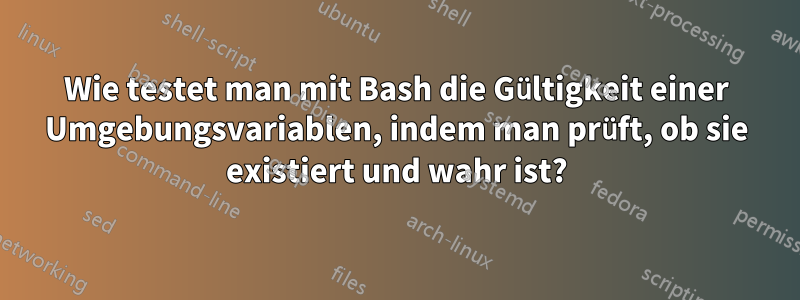 Wie testet man mit Bash die Gültigkeit einer Umgebungsvariablen, indem man prüft, ob sie existiert und wahr ist?