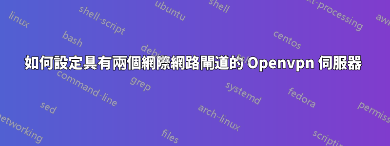 如何設定具有兩個網際網路閘道的 Openvpn 伺服器