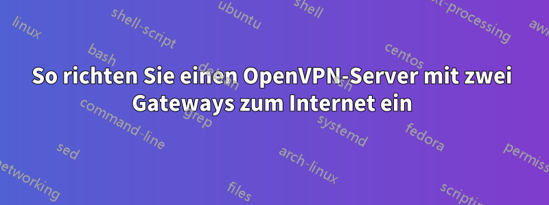 So richten Sie einen OpenVPN-Server mit zwei Gateways zum Internet ein