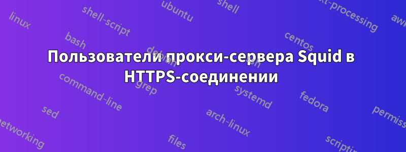 Пользователи прокси-сервера Squid в HTTPS-соединении