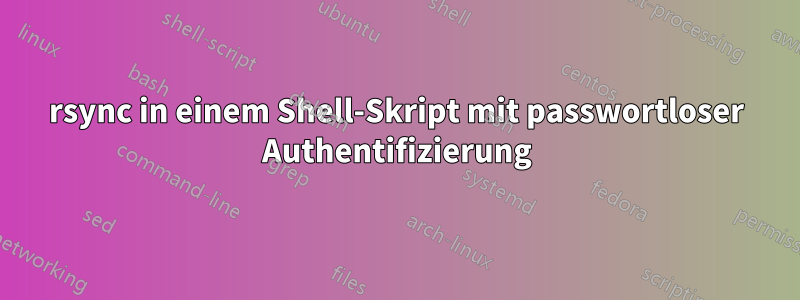 rsync in einem Shell-Skript mit passwortloser Authentifizierung