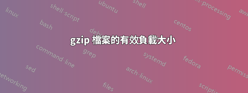 gzip 檔案的有效負載大小