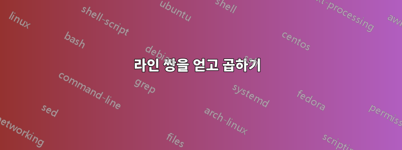 라인 쌍을 얻고 곱하기 