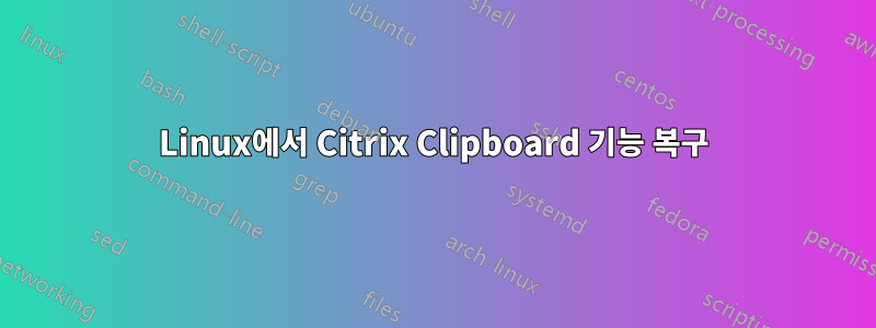 Linux에서 Citrix Clipboard 기능 복구
