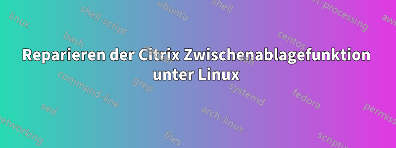 Reparieren der Citrix Zwischenablagefunktion unter Linux