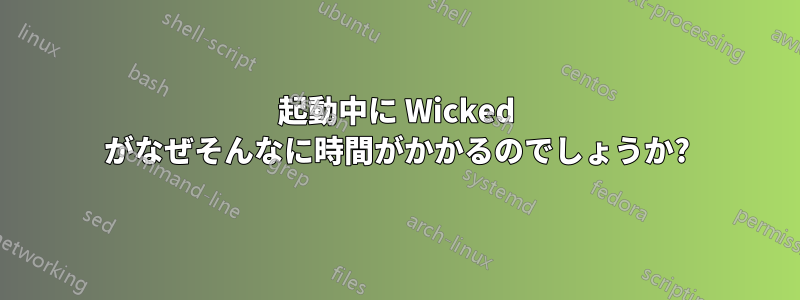 起動中に Wicked がなぜそんなに時間がかかるのでしょうか?