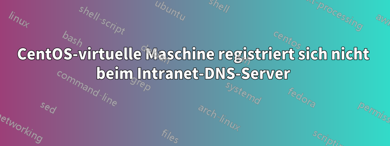 CentOS-virtuelle Maschine registriert sich nicht beim Intranet-DNS-Server