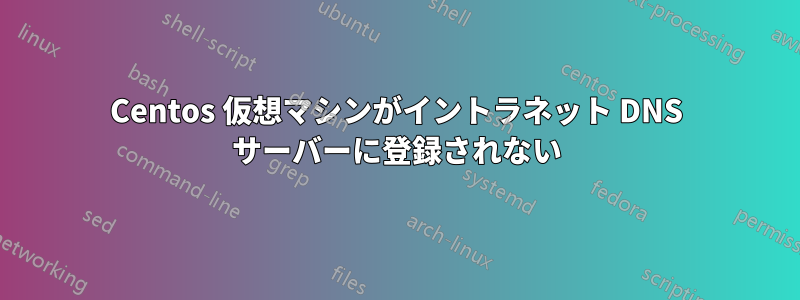 Centos 仮想マシンがイントラネット DNS サーバーに登録されない