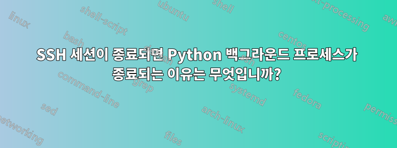 SSH 세션이 종료되면 Python 백그라운드 프로세스가 종료되는 이유는 무엇입니까?