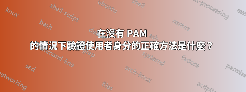 在沒有 PAM 的情況下驗證使用者身分的正確方法是什麼？