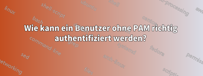 Wie kann ein Benutzer ohne PAM richtig authentifiziert werden?