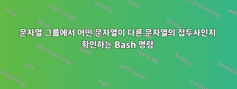 문자열 그룹에서 어떤 문자열이 다른 문자열의 접두사인지 확인하는 Bash 명령