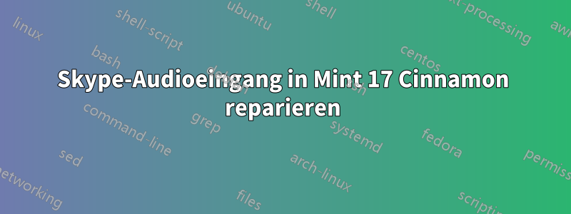 Skype-Audioeingang in Mint 17 Cinnamon reparieren