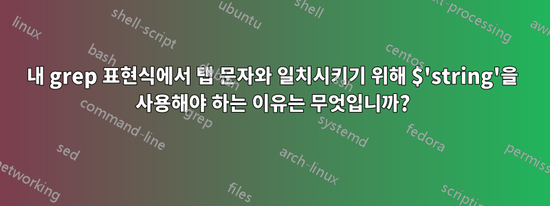 내 grep 표현식에서 탭 문자와 일치시키기 위해 $'string'을 사용해야 하는 이유는 무엇입니까?